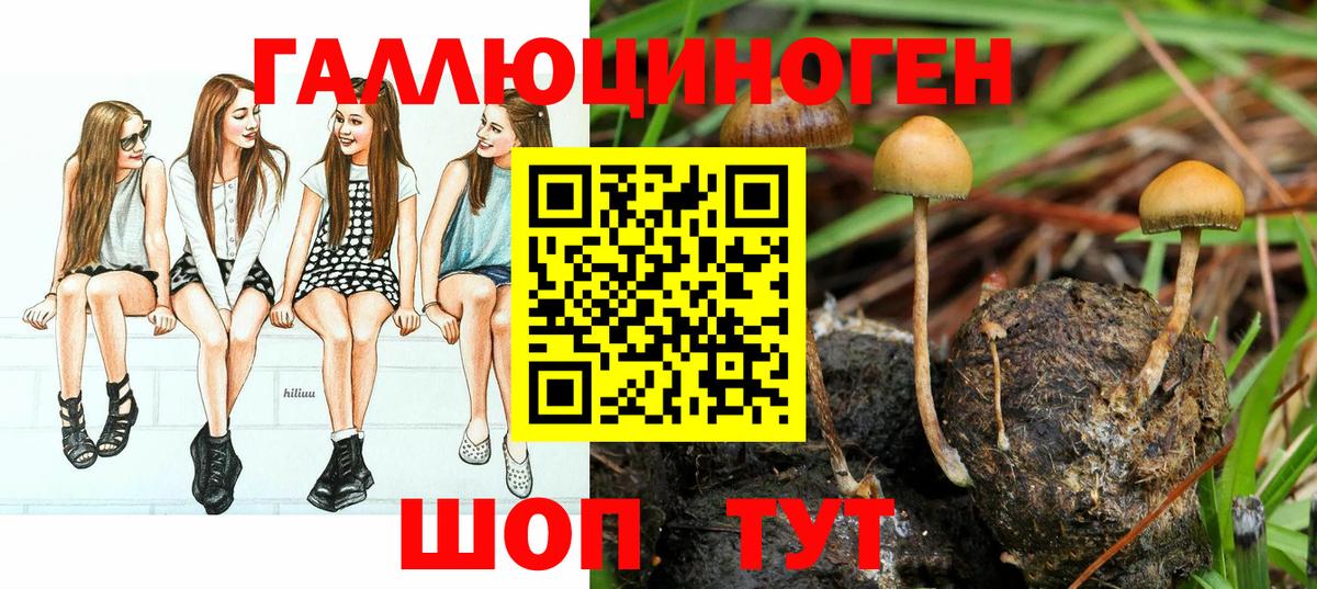 Псилоцибиновые грибы мухоморы  Вход с VPN  наркошоп  Нижний Новгород 